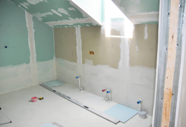 Best Black Mold Removal  in Cody, WY