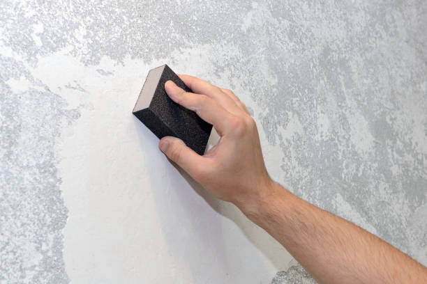 Best Mold Documentation for Insurance Claims  in Cody, WY