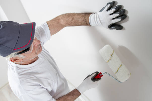 Best Airborne Mold Testing  in Cody, WY