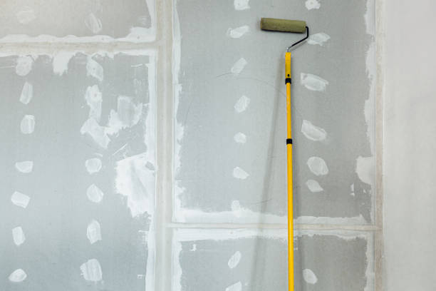 Best Commercial Mold Inspection  in Cody, WY