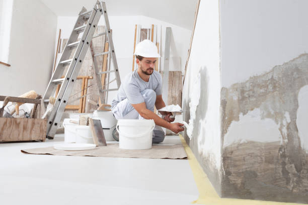 Reliable Cody, WY Mold Removal Solutions