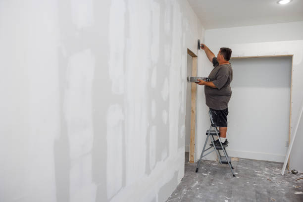 Best Mold Prevention Services  in Cody, WY