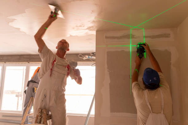 Best Mold Damage Restoration  in Cody, WY