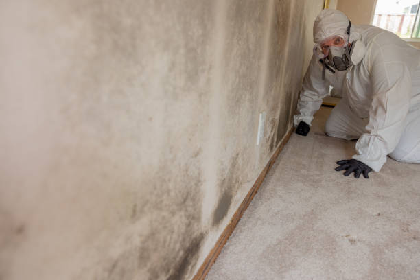 Asbestos and Lead Testing During Mold Inspection in Cody, WY