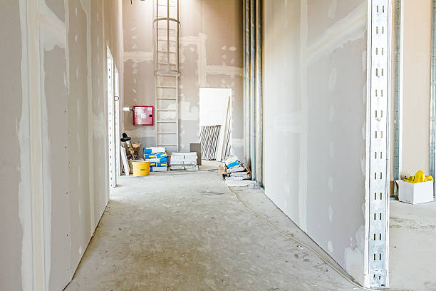 Best Industrial Mold Remediation  in Cody, WY