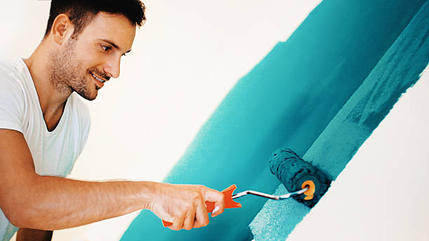 Best Emergency Mold Remediation  in Cody, WY